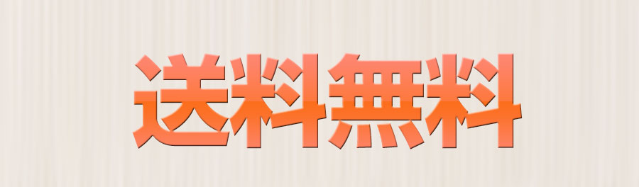 送料無料