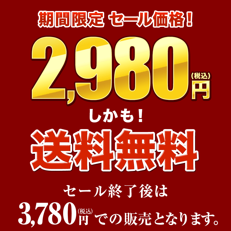 さらに登場セール