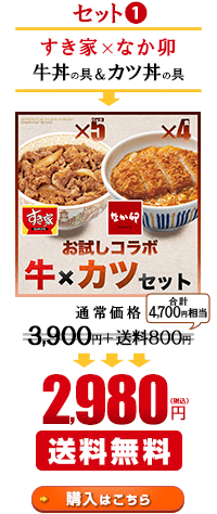 ゼンショーネットストア 本店 セール キャンペーン 2種セット 2 980円均一すき家牛丼の具 公式通販サイト 定期購入 ゼンショーネットストア